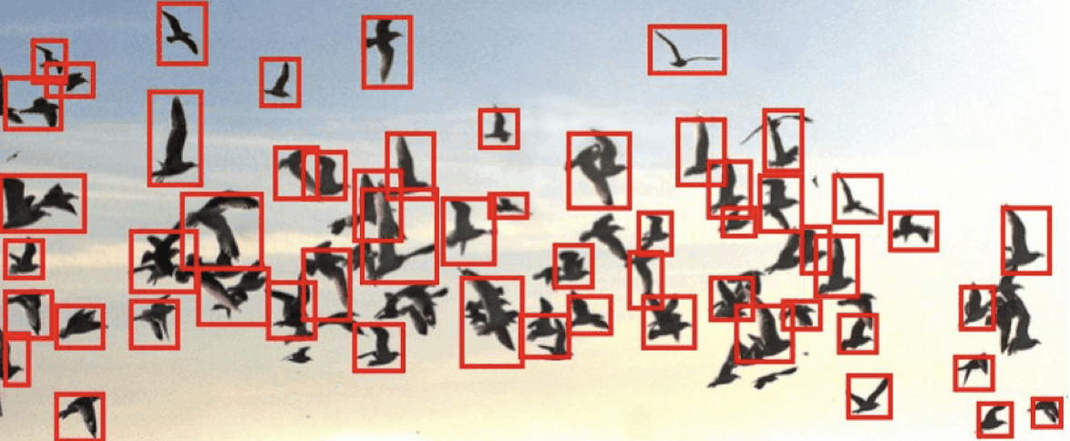 Generic Object Detection